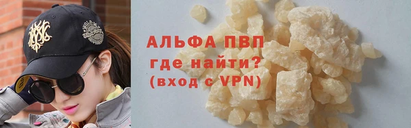 стаф Богданович
