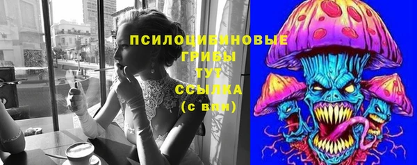 шишки Нягань