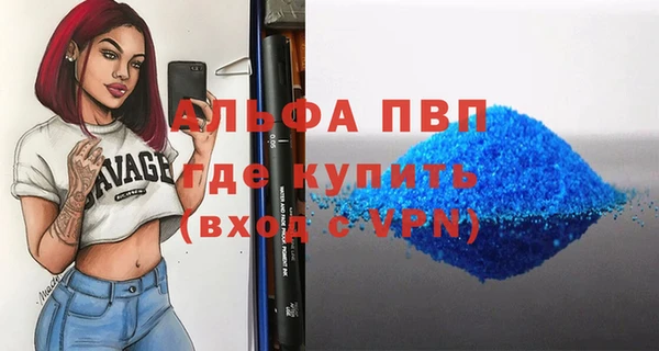 стаф Богданович