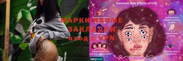 стаф Богданович